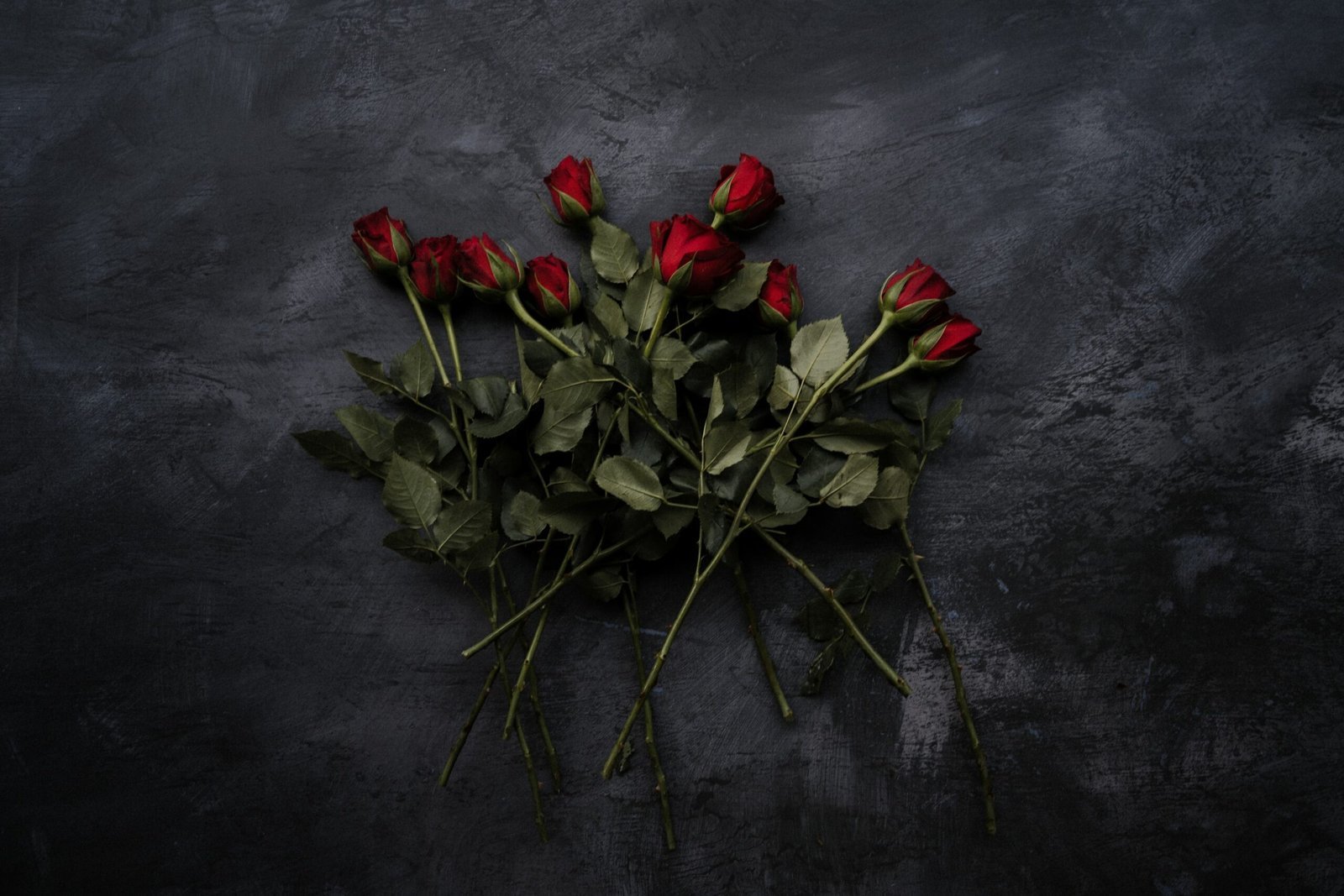 The Folly of Self love